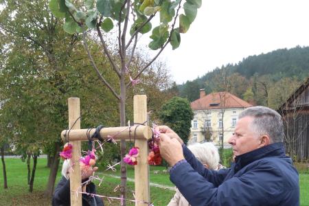 Posaditev  rožnatega drevesa v Pocinovem vrtu 19 Foto Ljubo Vukelič